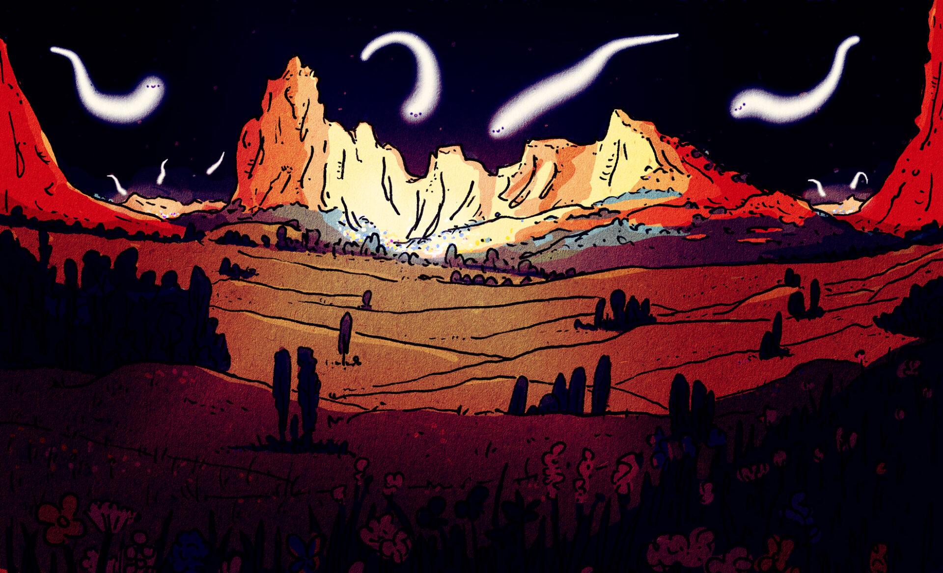 Landscape Illustration Night