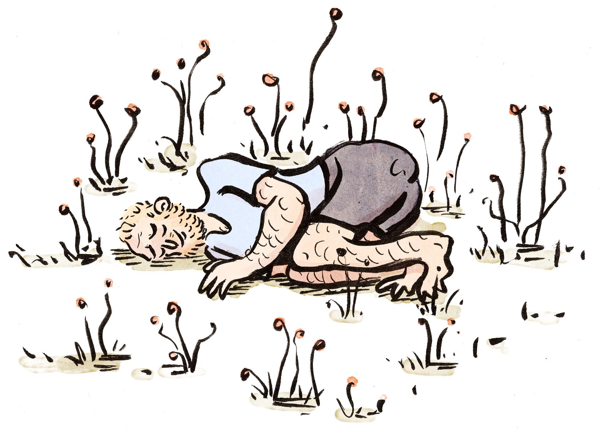 Markilus Illustrator Luzern